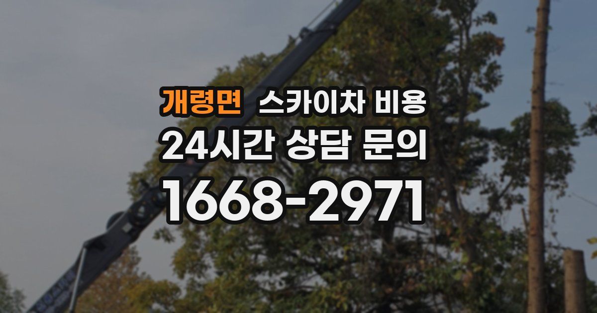 개령면 스카이차 비용