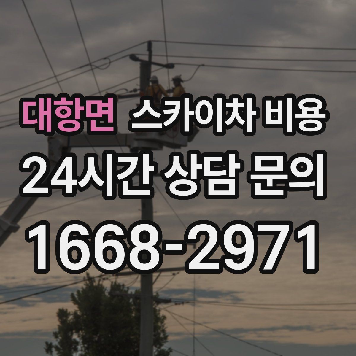 대항면 스카이차 비용 전면·측면·건물 앞 도로 사진 1장(정차 가능 여부, 도로 폭)이 필