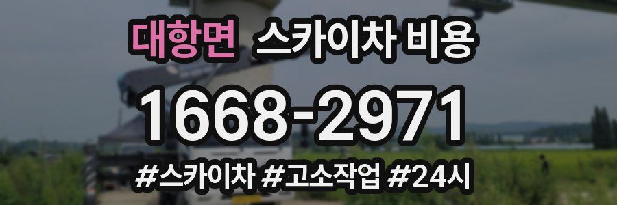 대항면 스카이차 비용