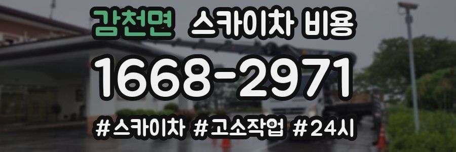 감천면 스카이차 비용