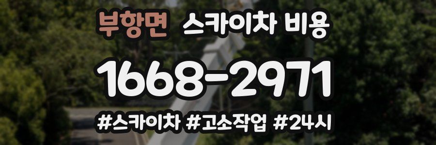 부항면 스카이차 비용