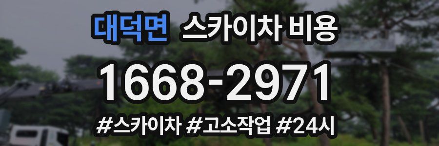 대덕면 스카이차 비용