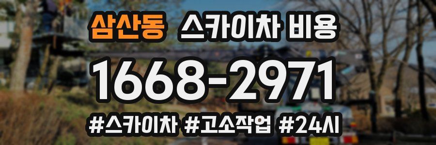 삼산동 스카이차 비용