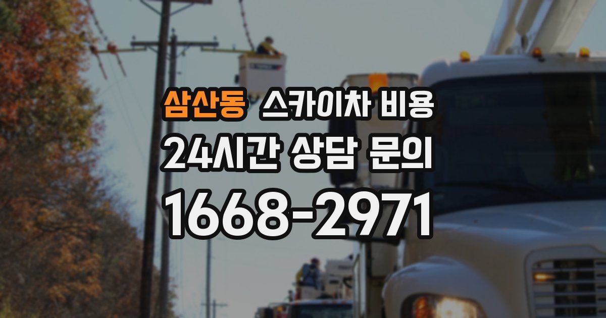 삼산동 스카이차 비용