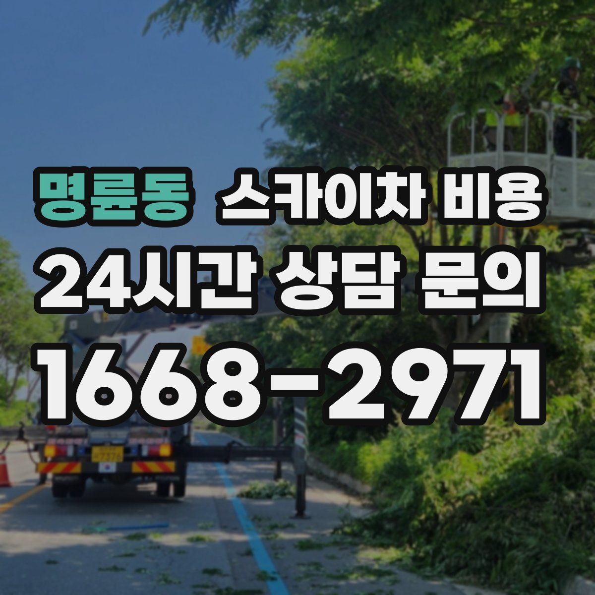 명륜동 스카이차 비용