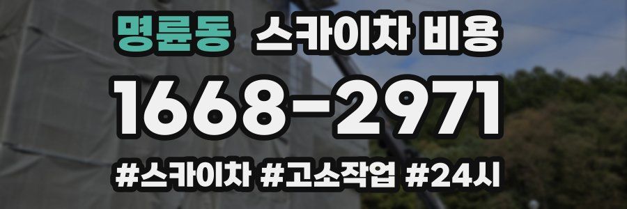 명륜동 스카이차 비용