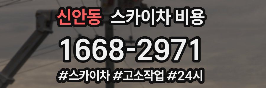 신안동 스카이차 비용