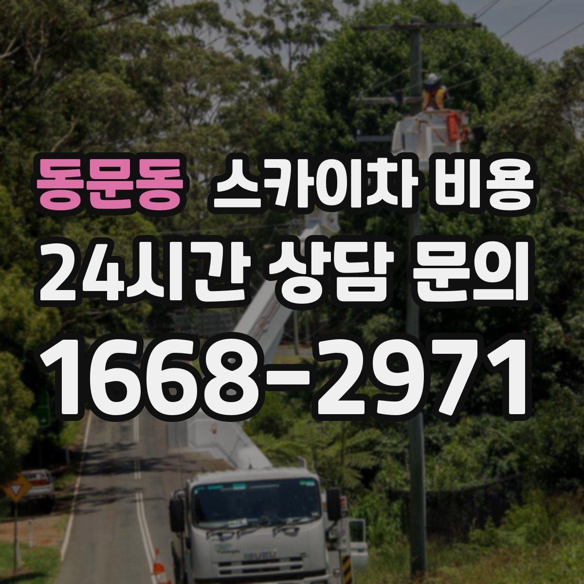 동문동 스카이차 비용 유도원 배치가 필요한 상황 정리