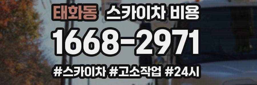 태화동 스카이차 비용