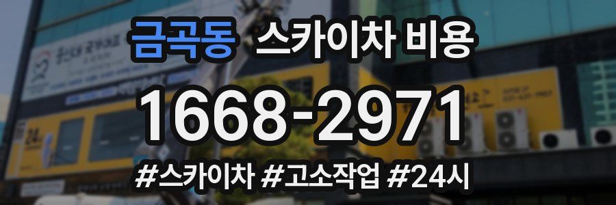 금곡동 스카이차 비용