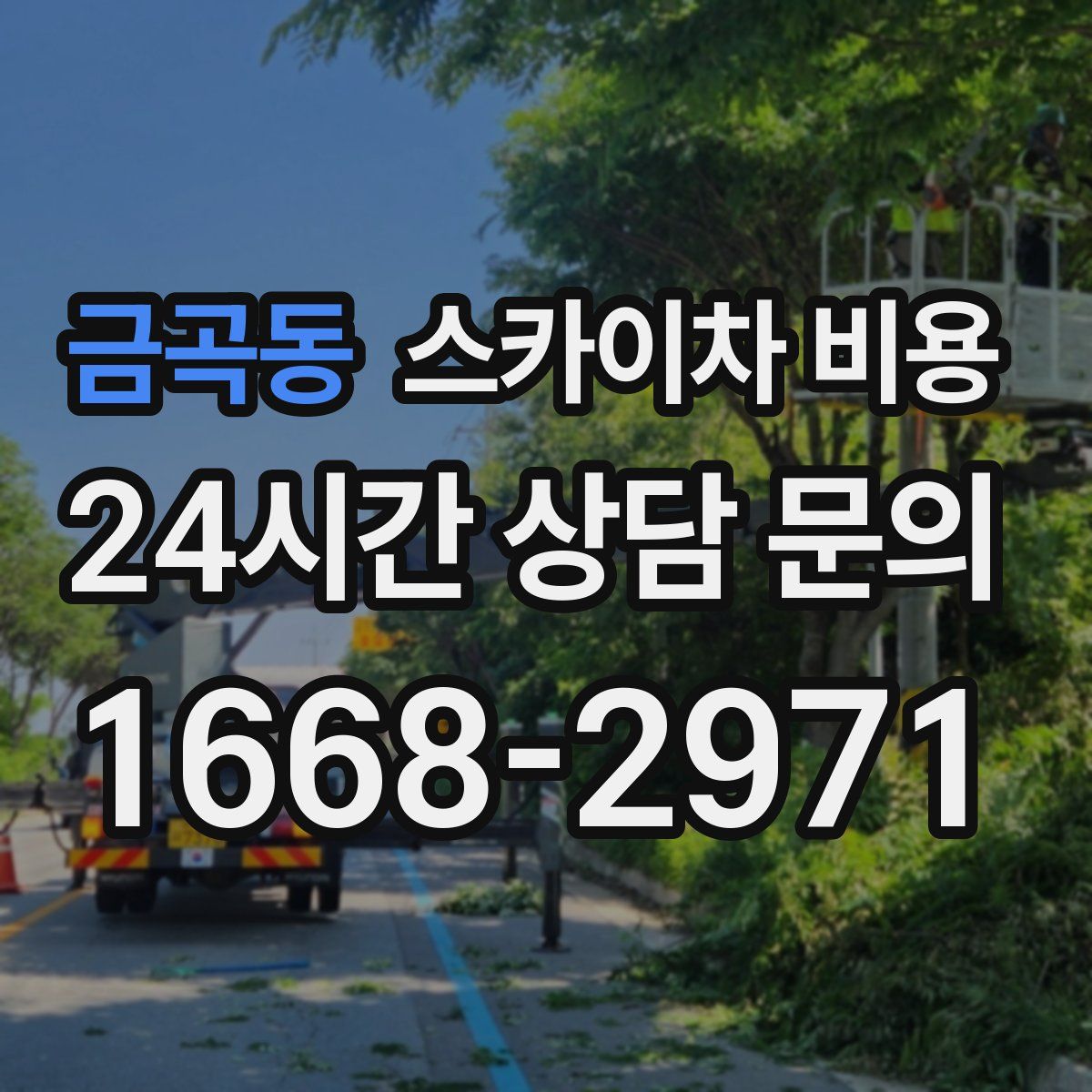 금곡동 스카이차 비용