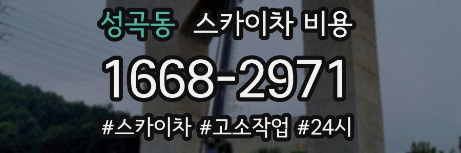 성곡동 스카이차 비용