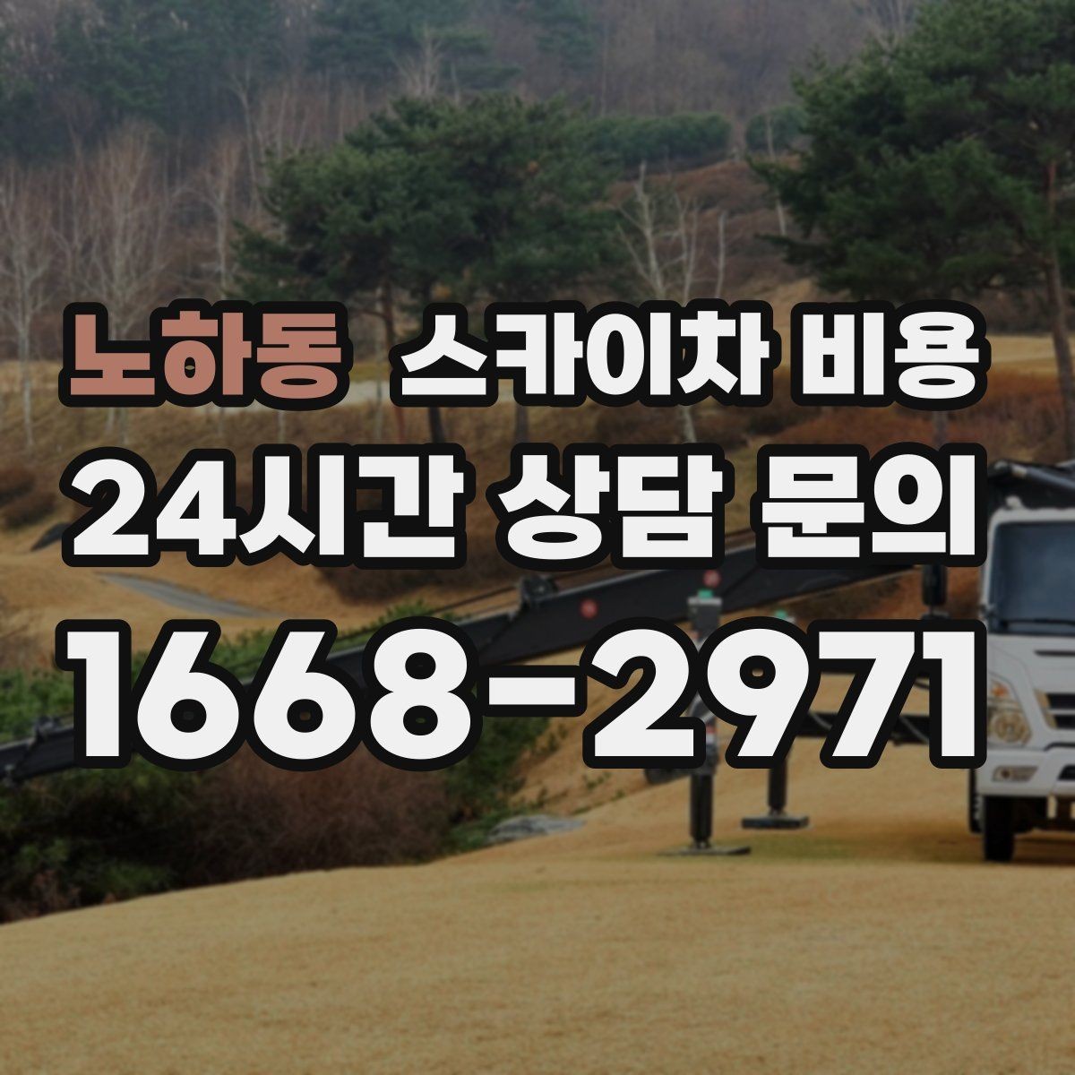 노하동 스카이차 비용 유도원 필요 여부를 판단하는 포인트