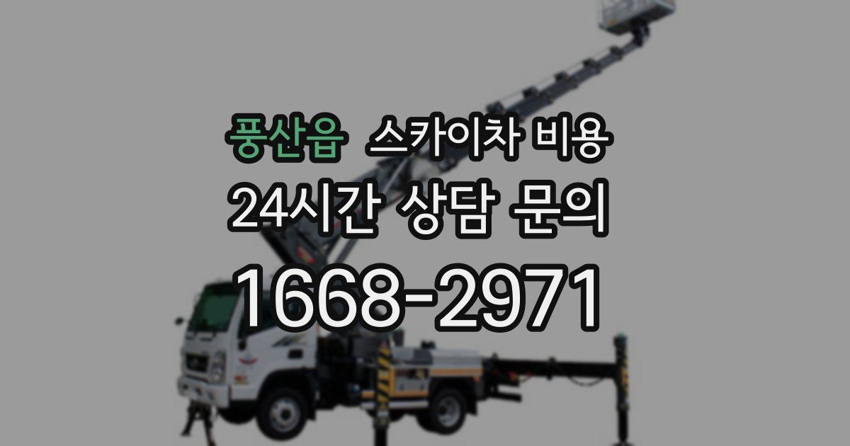 풍산읍 스카이차 비용