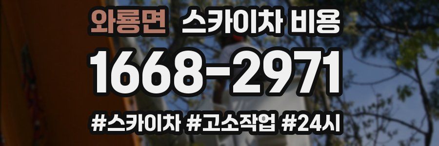 와룡면 스카이차 비용