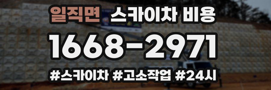 일직면 스카이차 비용