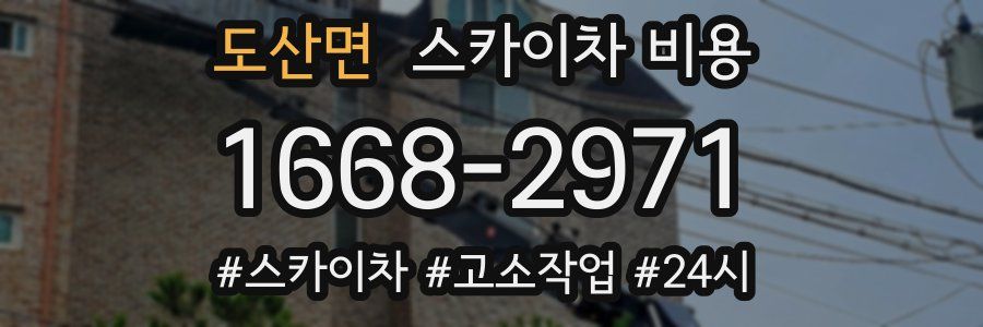 도산면 스카이차 비용