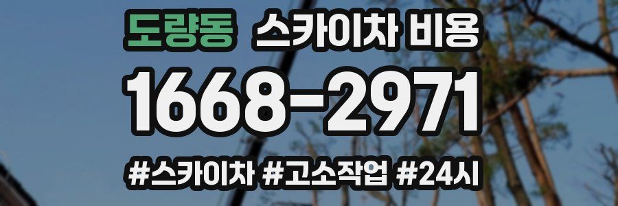 도량동 스카이차 비용