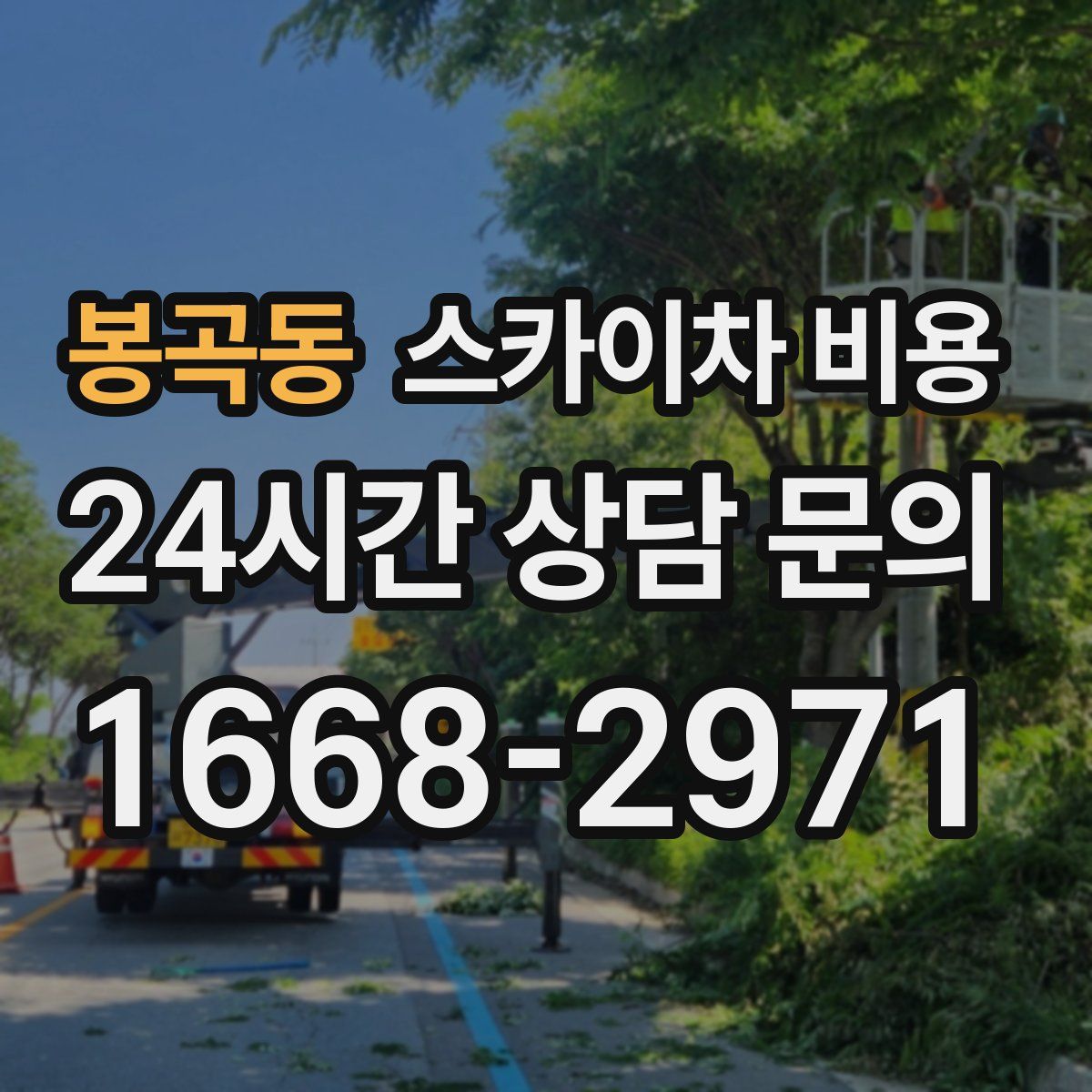 봉곡동 스카이차 비용