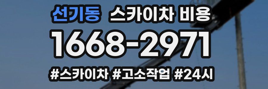 선기동 스카이차 비용