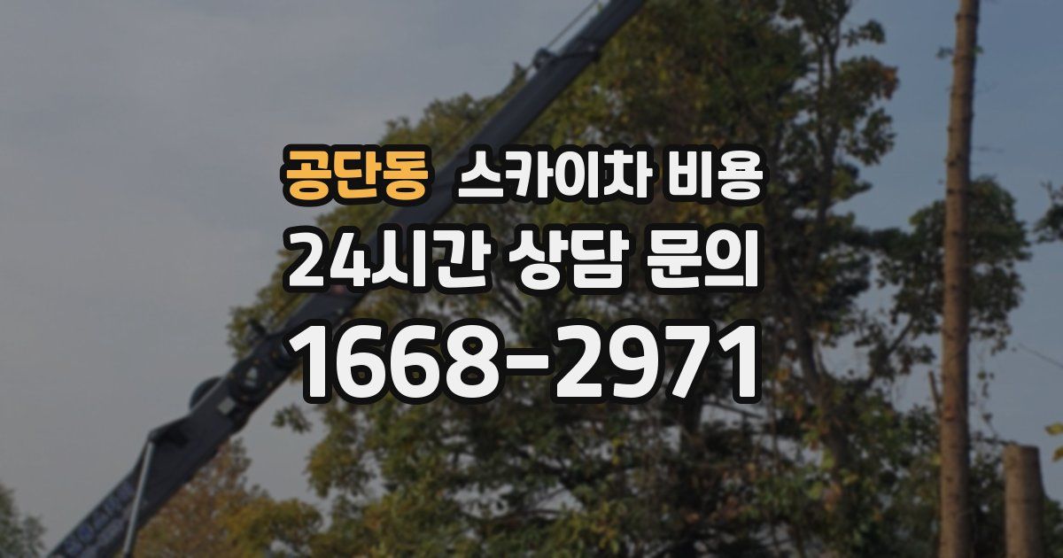 공단동 스카이차 비용