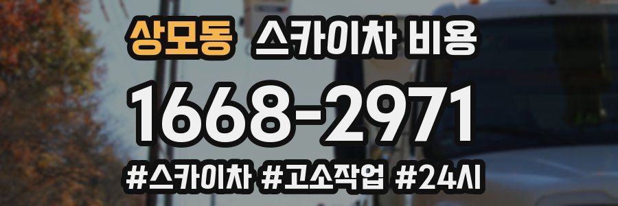 상모동 스카이차 비용