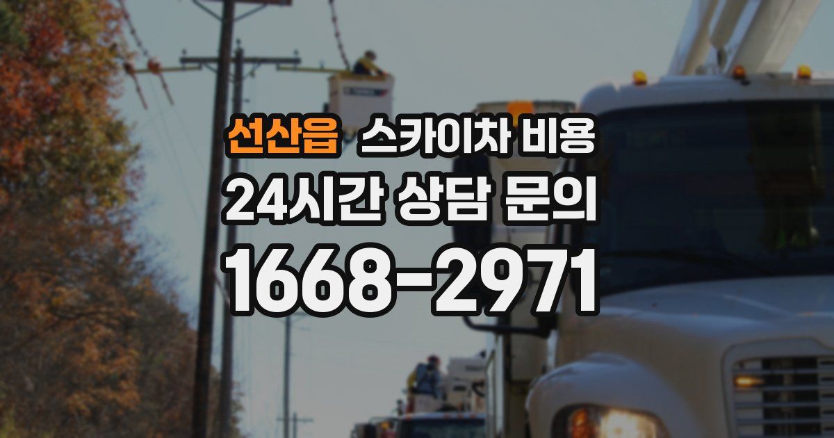 선산읍 스카이차 비용