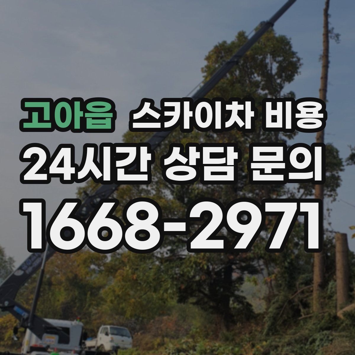 고아읍 스카이차 비용