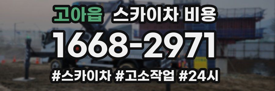 고아읍 스카이차 비용