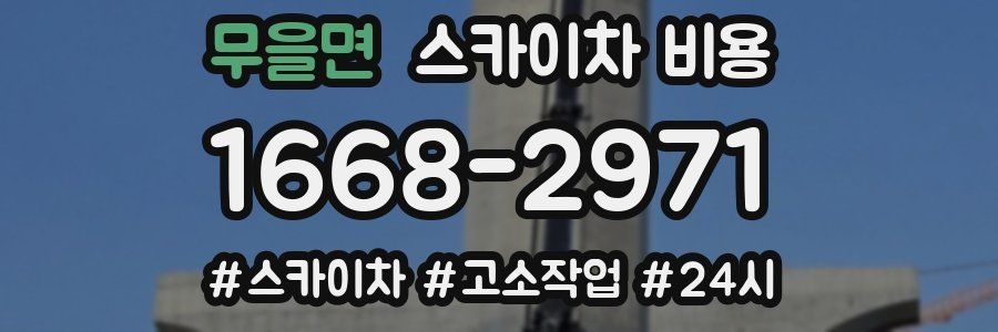 무을면 스카이차 비용