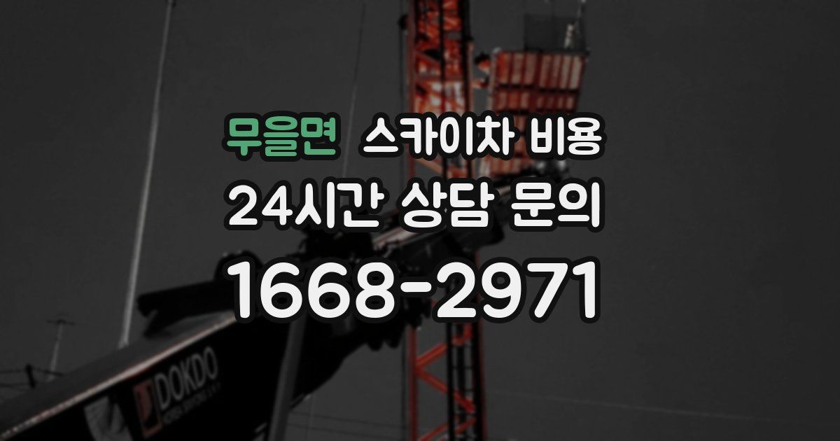 무을면 스카이차 비용