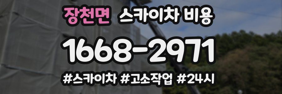 장천면 스카이차 비용