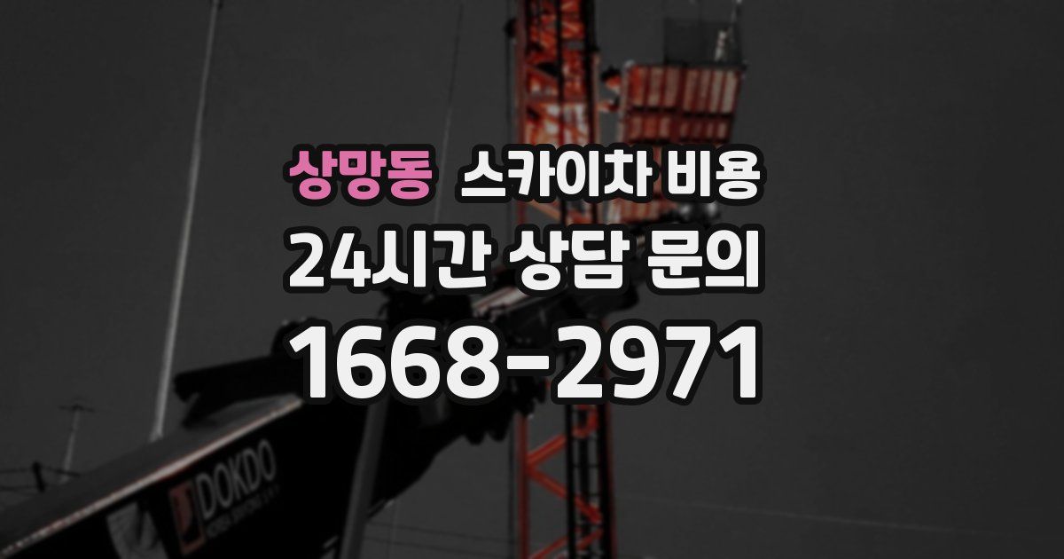 상망동 스카이차 비용