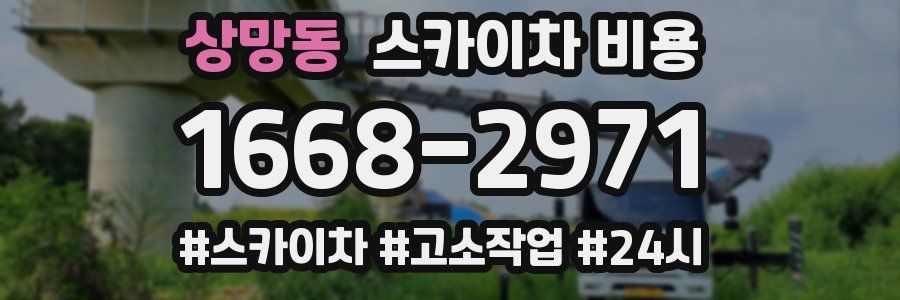 상망동 스카이차 비용