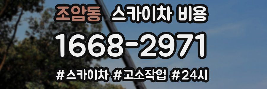 조암동 스카이차 비용