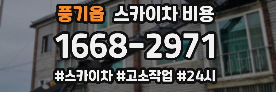 풍기읍 스카이차 비용