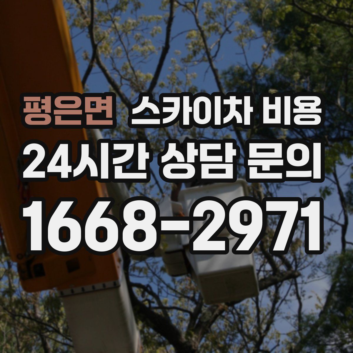 평은면 스카이차 비용