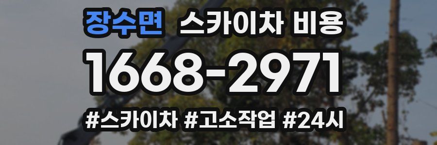 장수면 스카이차 비용