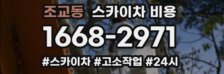 조교동 스카이차 비용