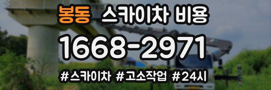 봉동 스카이차 비용