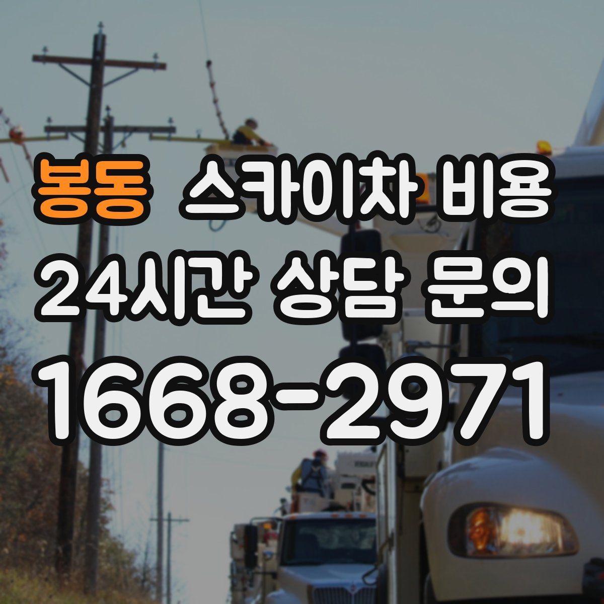 봉동 스카이차 비용