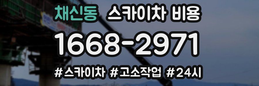 채신동 스카이차 비용