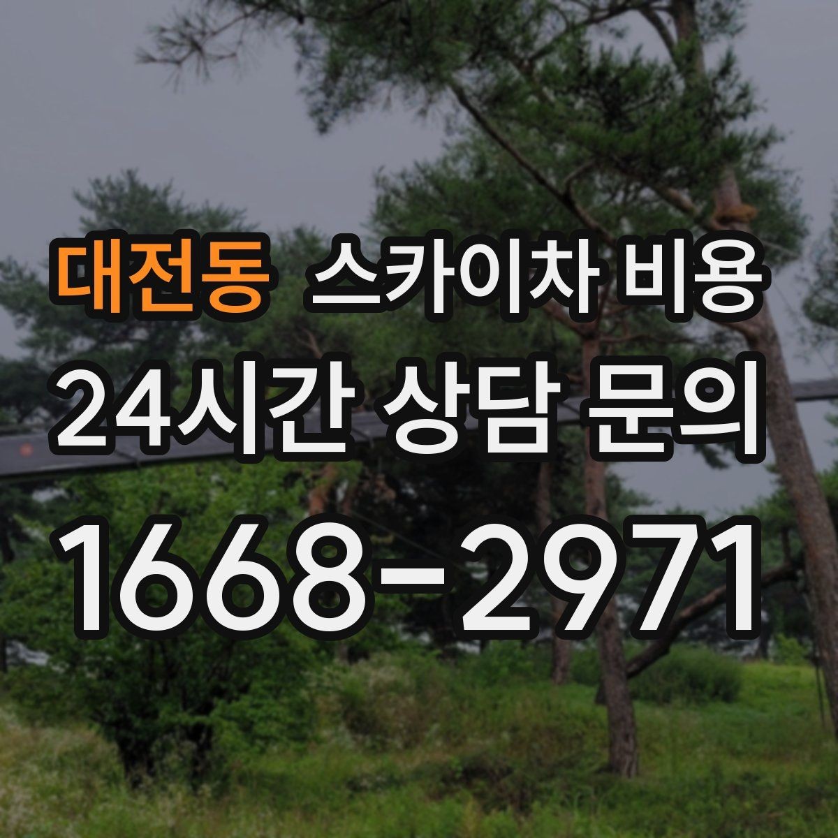 대전동 스카이차 비용 수목 전정은 작업 구역이 넓으면 달라질까