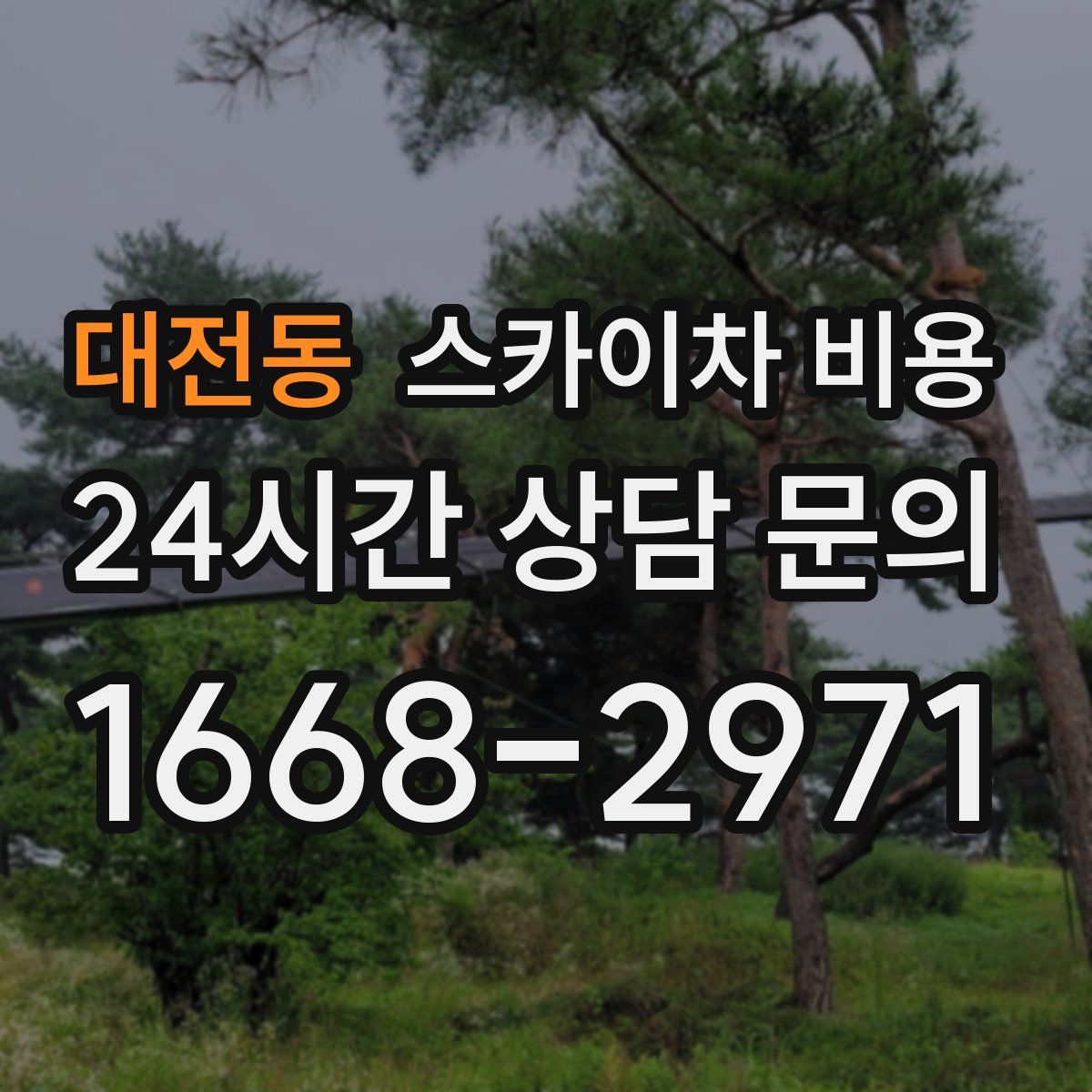 대전동 스카이차 비용