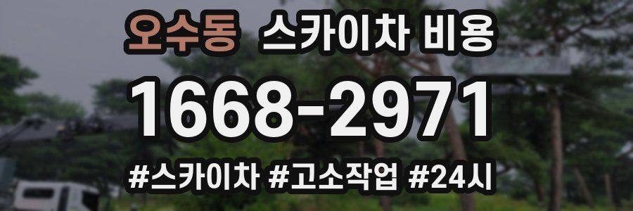 오수동 스카이차 비용