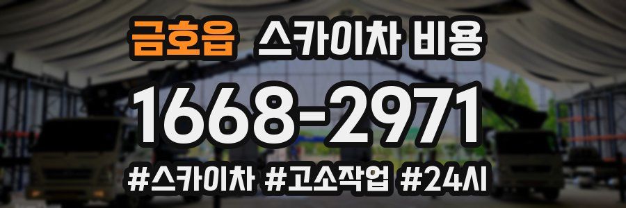 금호읍 스카이차 비용