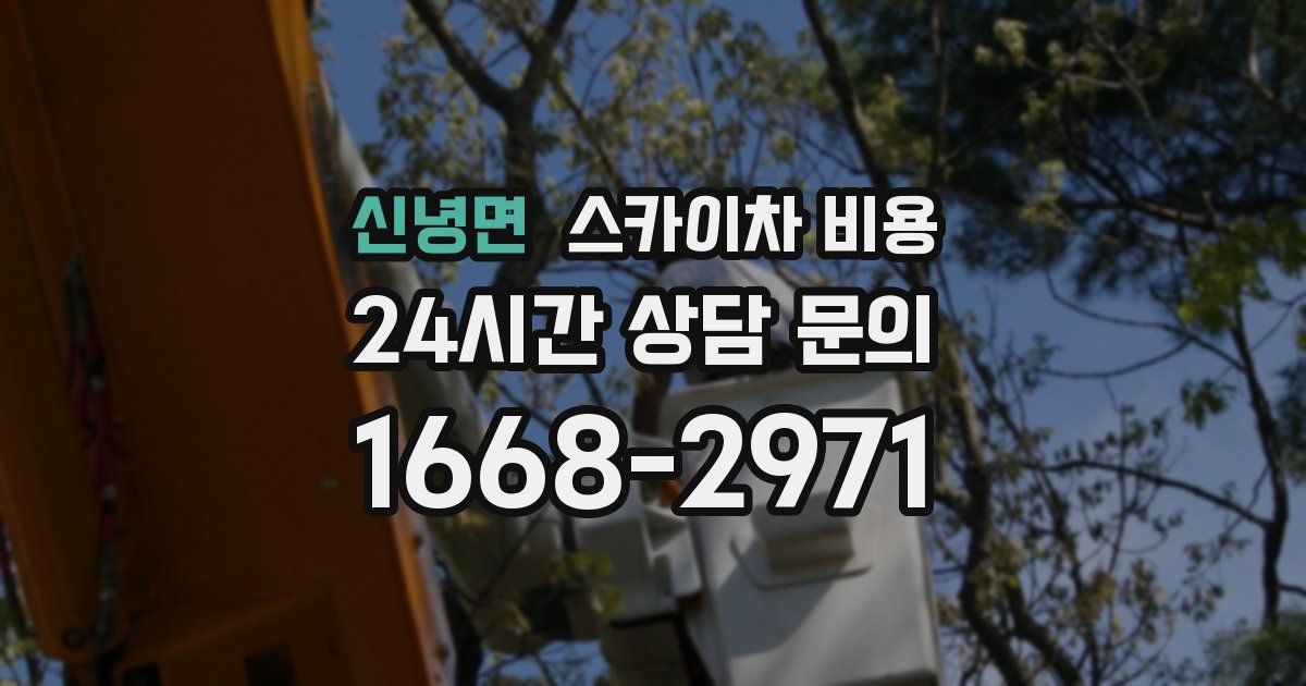 신녕면 스카이차 비용