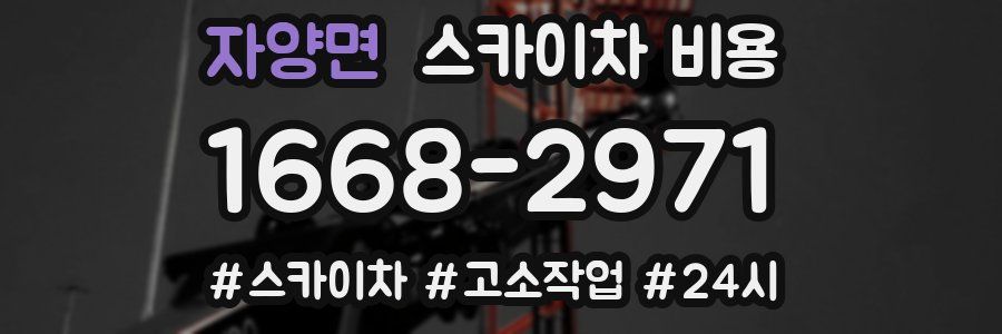 자양면 스카이차 비용