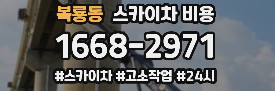 복룡동 스카이차 비용