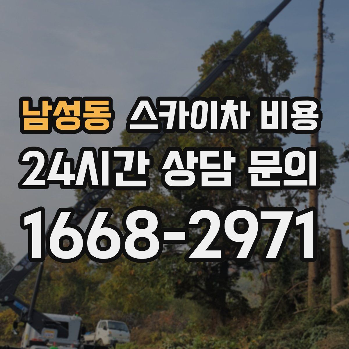 남성동 스카이차 비용